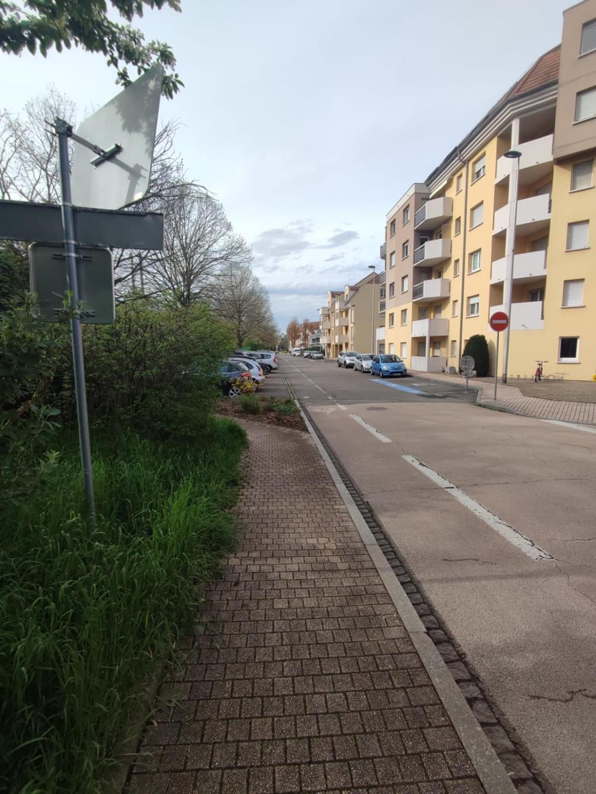 Apartamento Douillet-Kanamappart-Euroairport Saint-Louis  Exterior foto